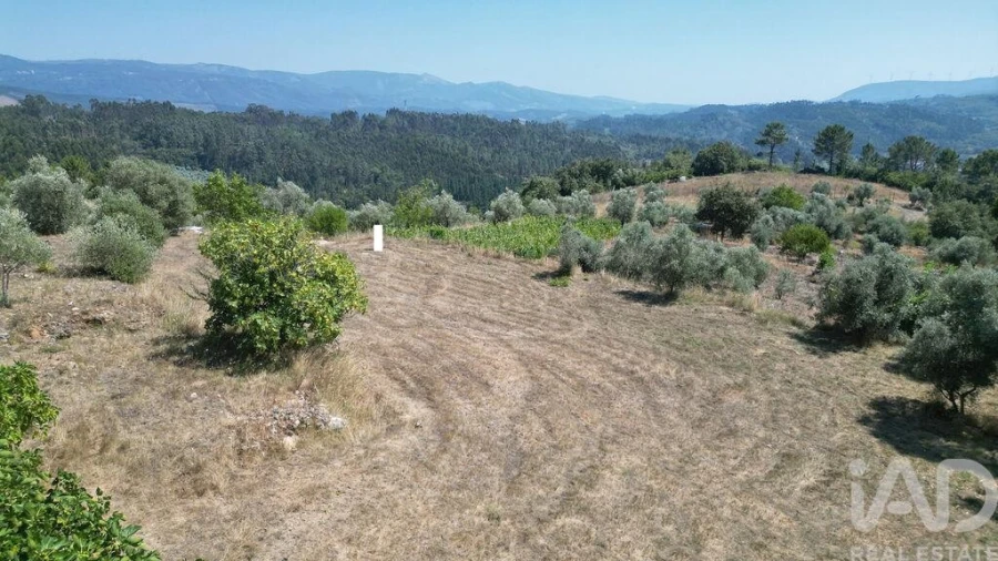 Terreno para Venda em Podentes Foto 19