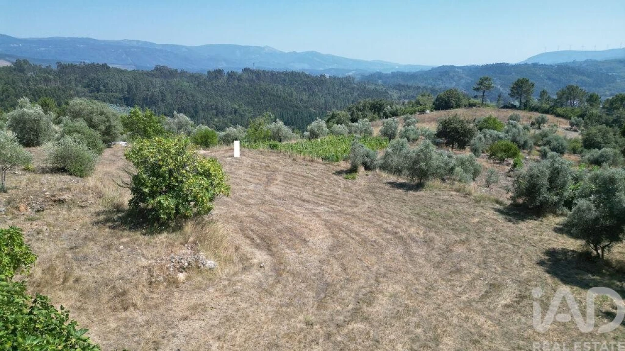 Terreno para Venda em Podentes Foto 19