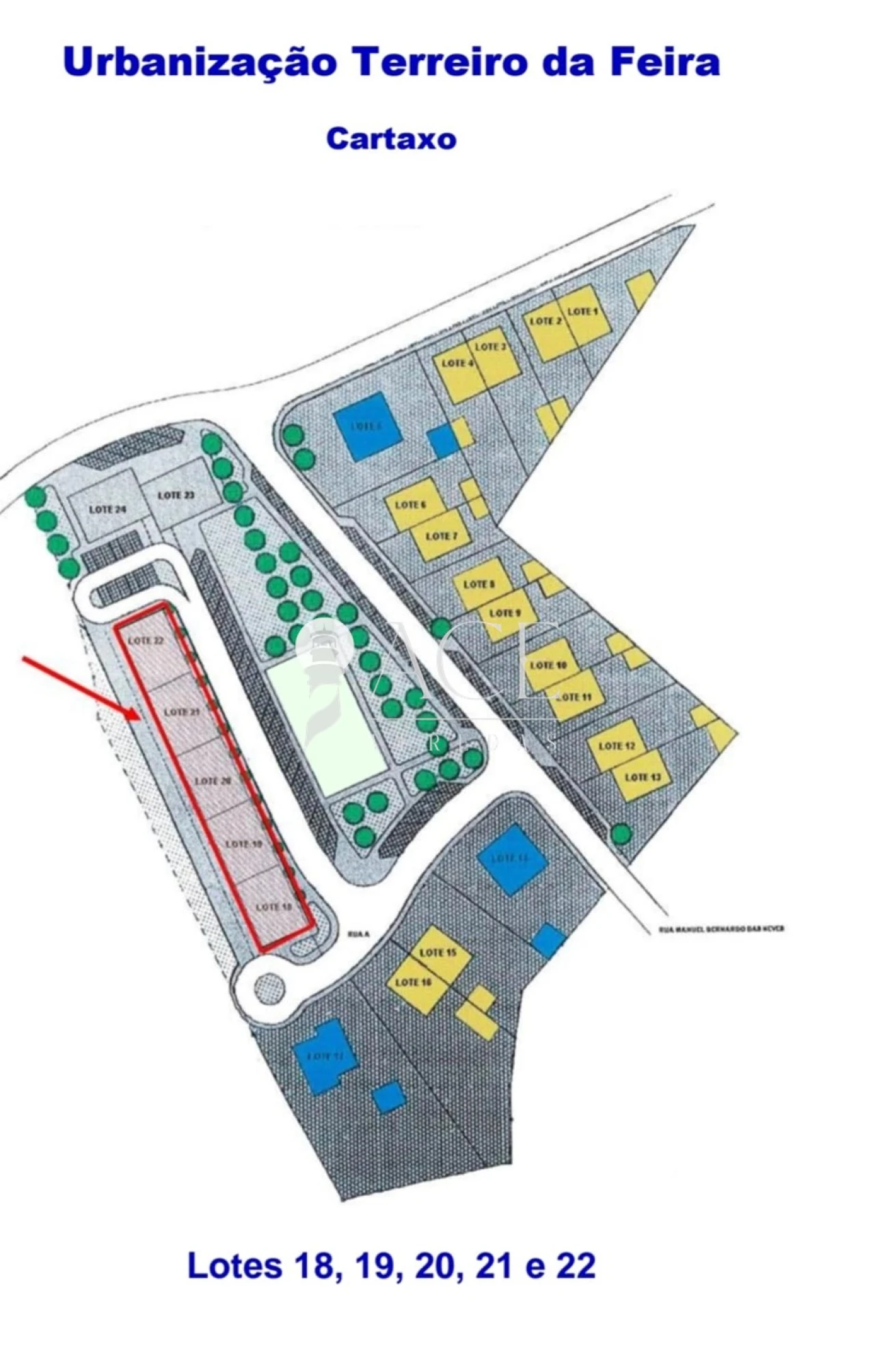 Terreno para Venda em Cartaxo e Vale da Pinta Foto 5