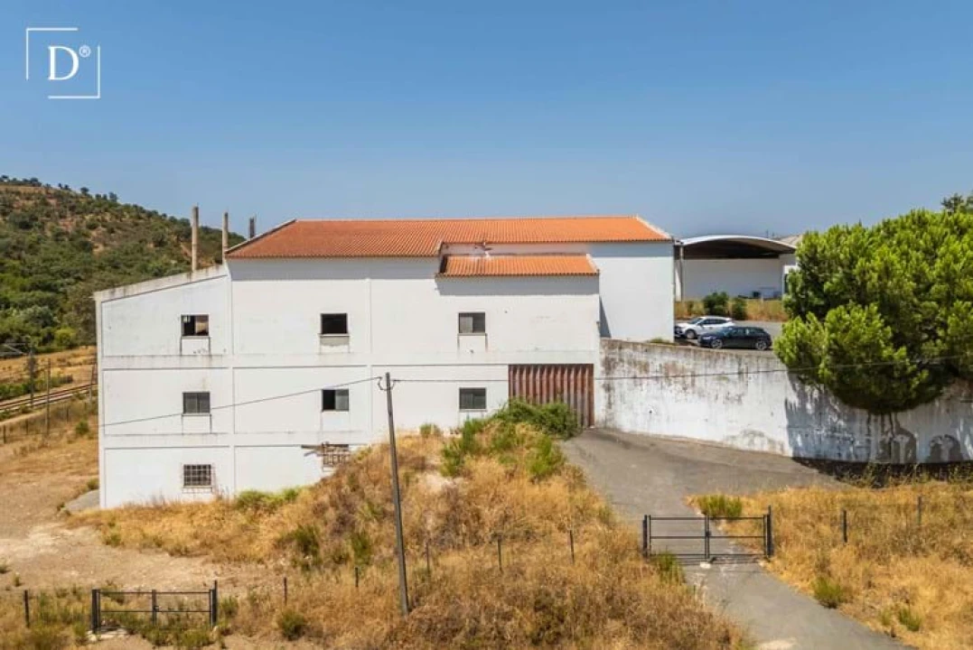 Negócio para Venda em São Silvestre Foto 26