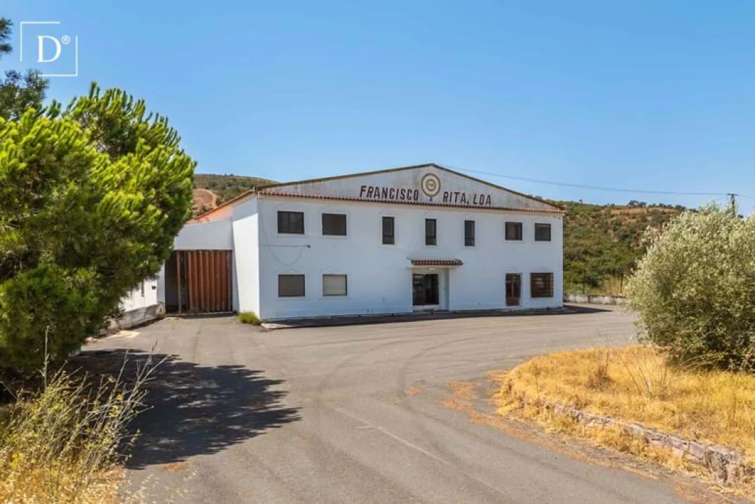 Negócio para Venda em São Silvestre Foto 23