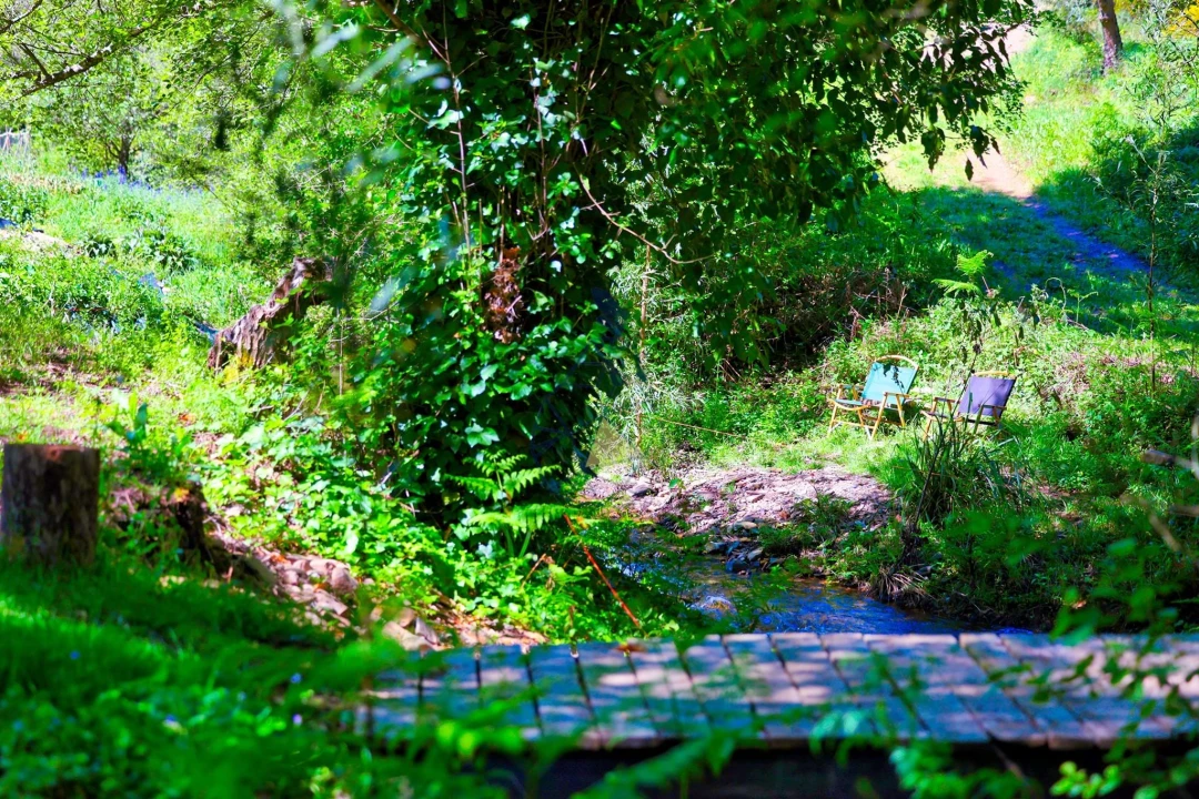 Quinta T3 para Venda em Marmelete Foto 82