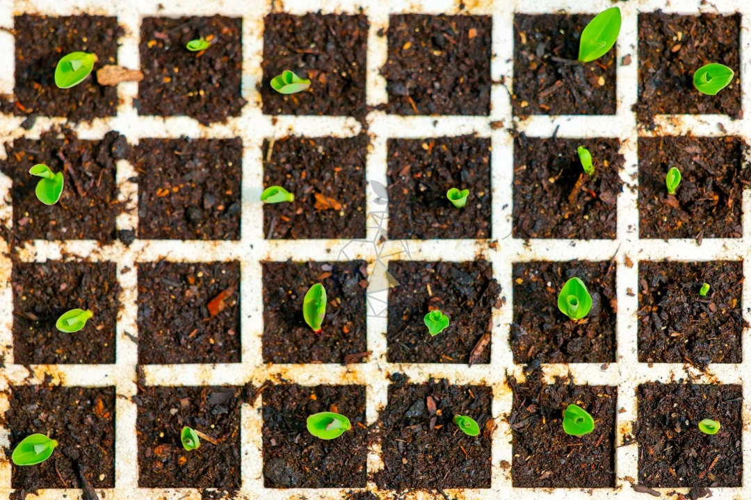 Quinta T3 para Venda em Marmelete Foto 71