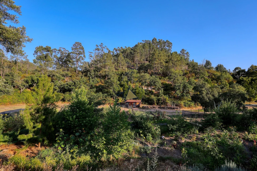 Quinta T3 para Venda em Marmelete Foto 51