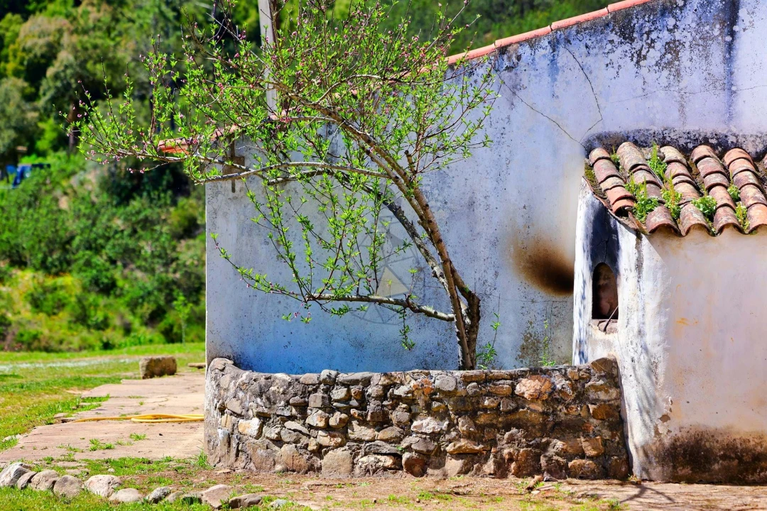 Quinta T3 para Venda em Marmelete Foto 97