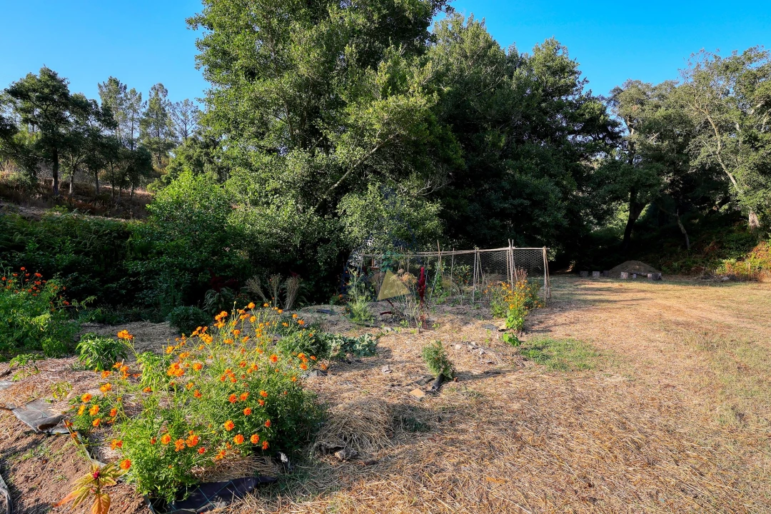 Quinta T3 para Venda em Marmelete Foto 40