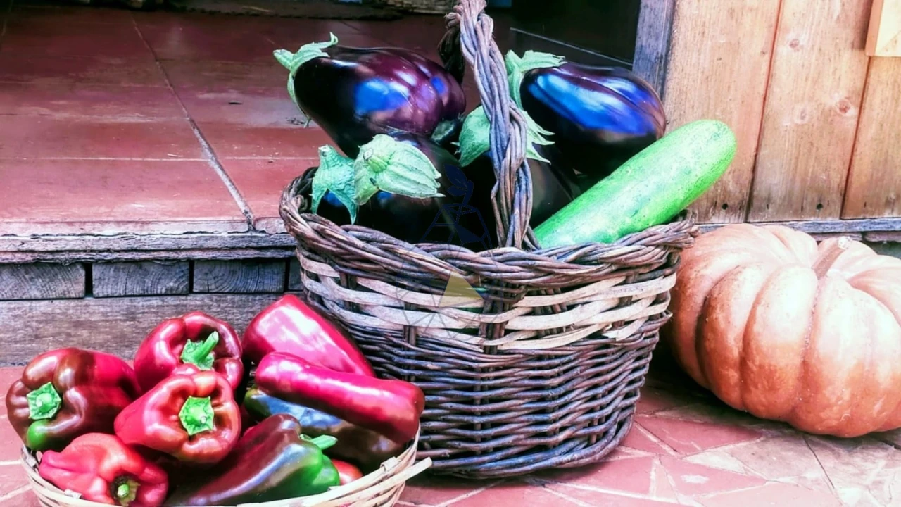 Quinta T3 para Venda em Marmelete Foto 56