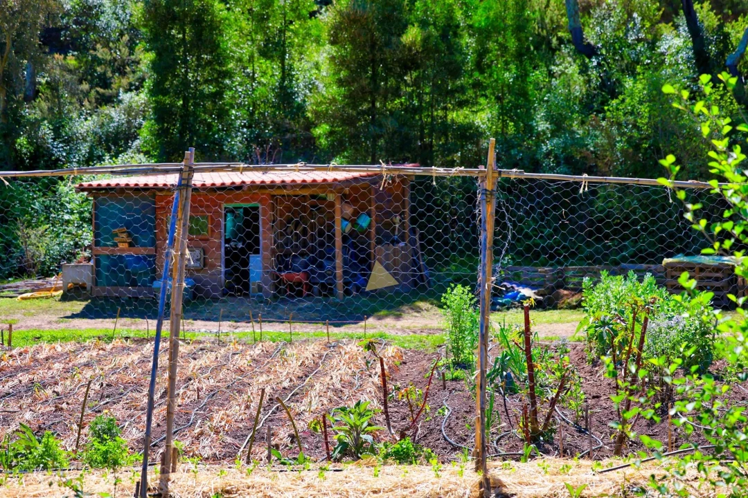 Quinta T3 para Venda em Marmelete Foto 81