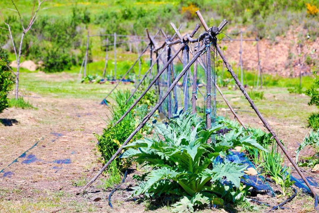 Quinta T3 para Venda em Marmelete Foto 76