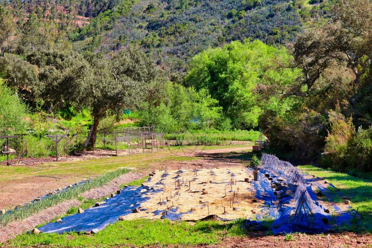 Quinta T3 para Venda em Marmelete Foto 44