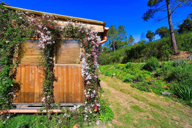 Quinta T3 para Venda em Marmelete Foto 65