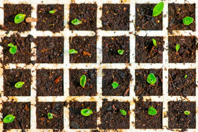 Quinta T3 para Venda em Marmelete Foto 71