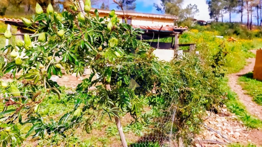 Quinta T3 para Venda em Marmelete Foto 54