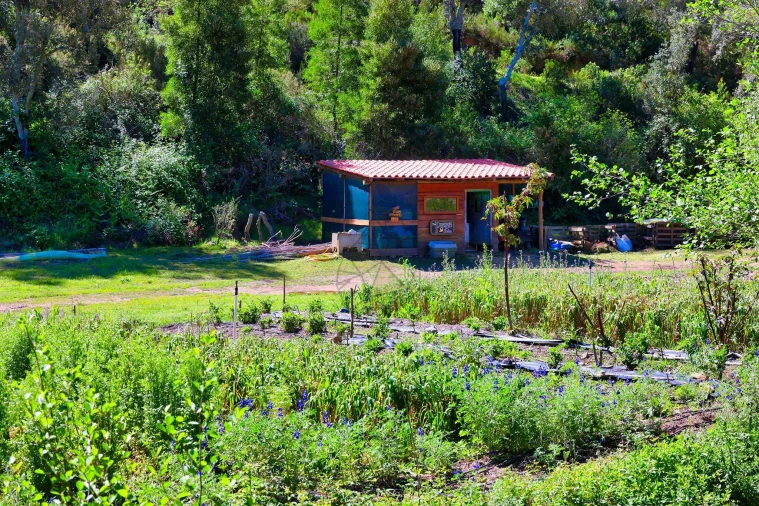 Quinta T3 para Venda em Marmelete Foto 51