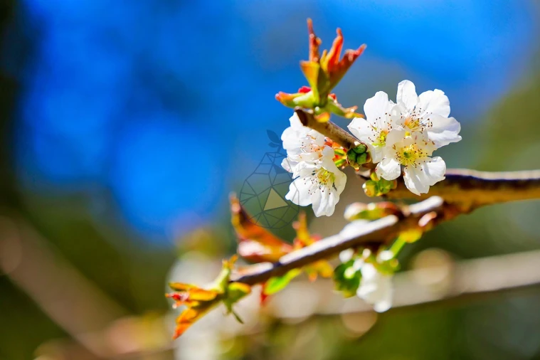 Quinta T3 para Venda em Marmelete Foto 94