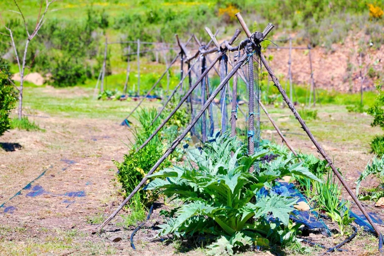 Quinta T3 para Venda em Marmelete Foto 76