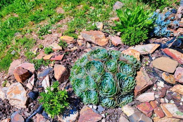 Quinta T3 para Venda em Marmelete Foto 85