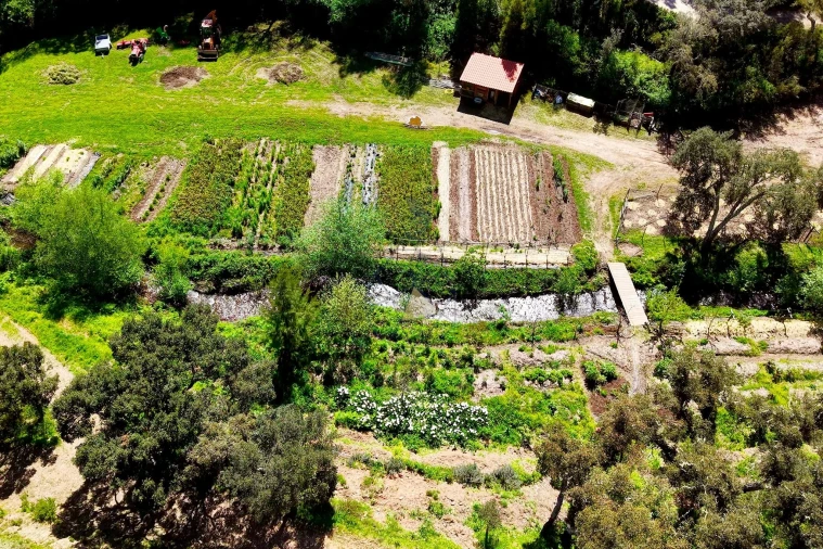 Quinta T3 para Venda em Marmelete Foto 2