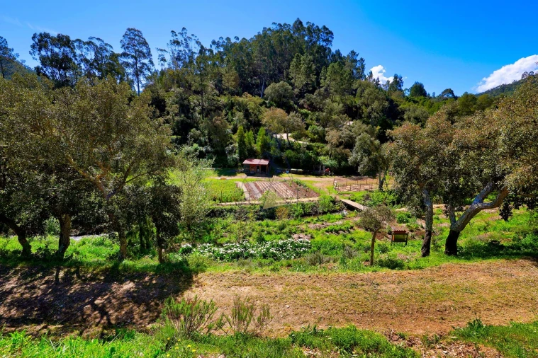 Quinta T3 para Venda em Marmelete Foto 80