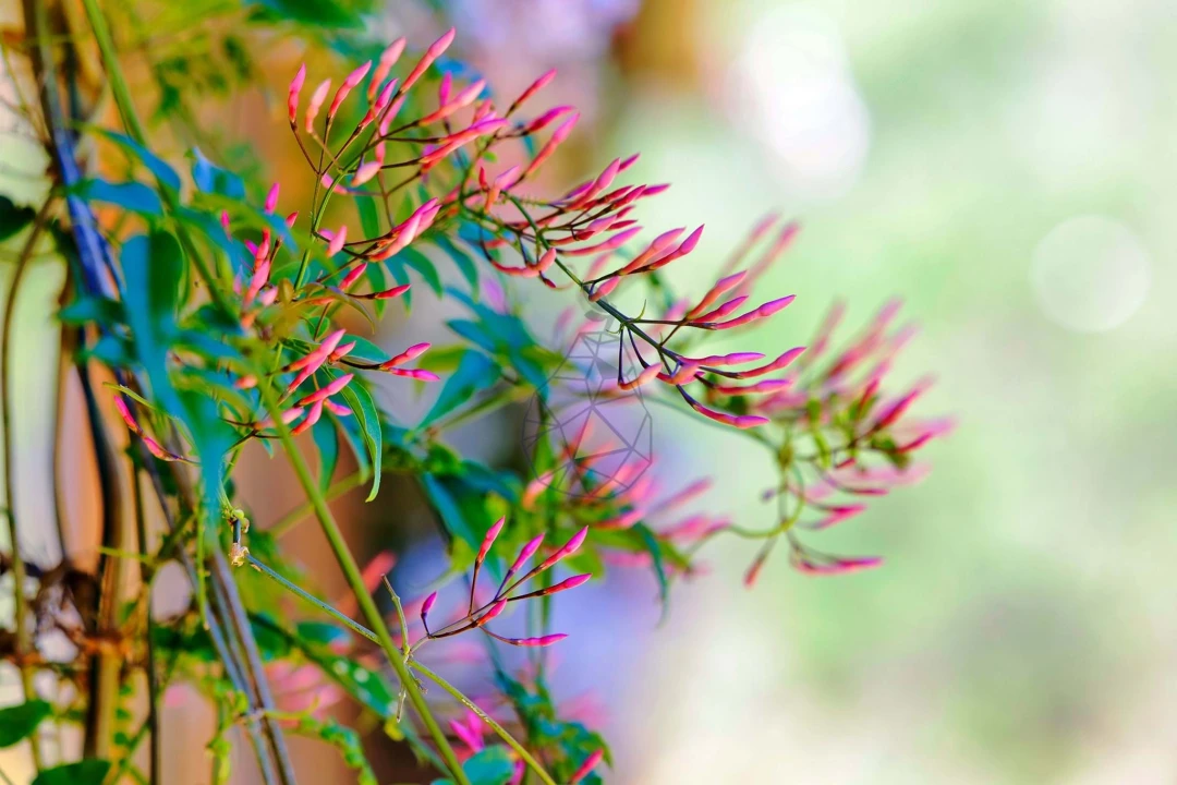 Quinta T3 para Venda em Marmelete Foto 66