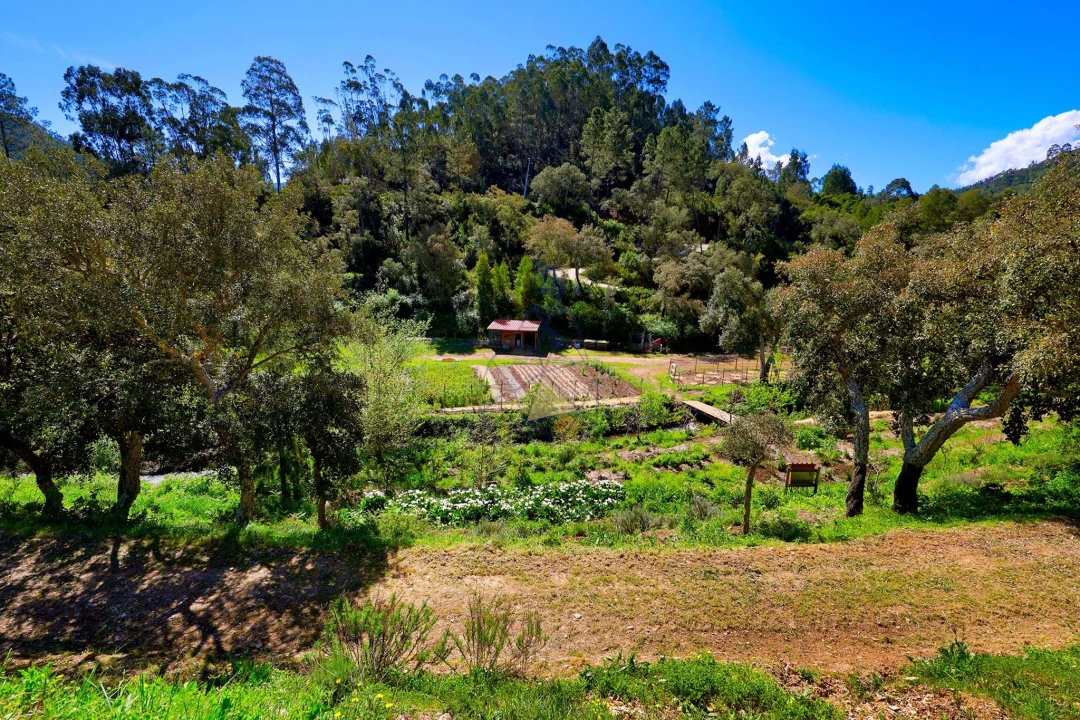 Quinta T3 para Venda em Marmelete Foto 80