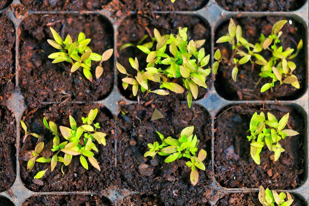 Quinta T3 para Venda em Marmelete Foto 72