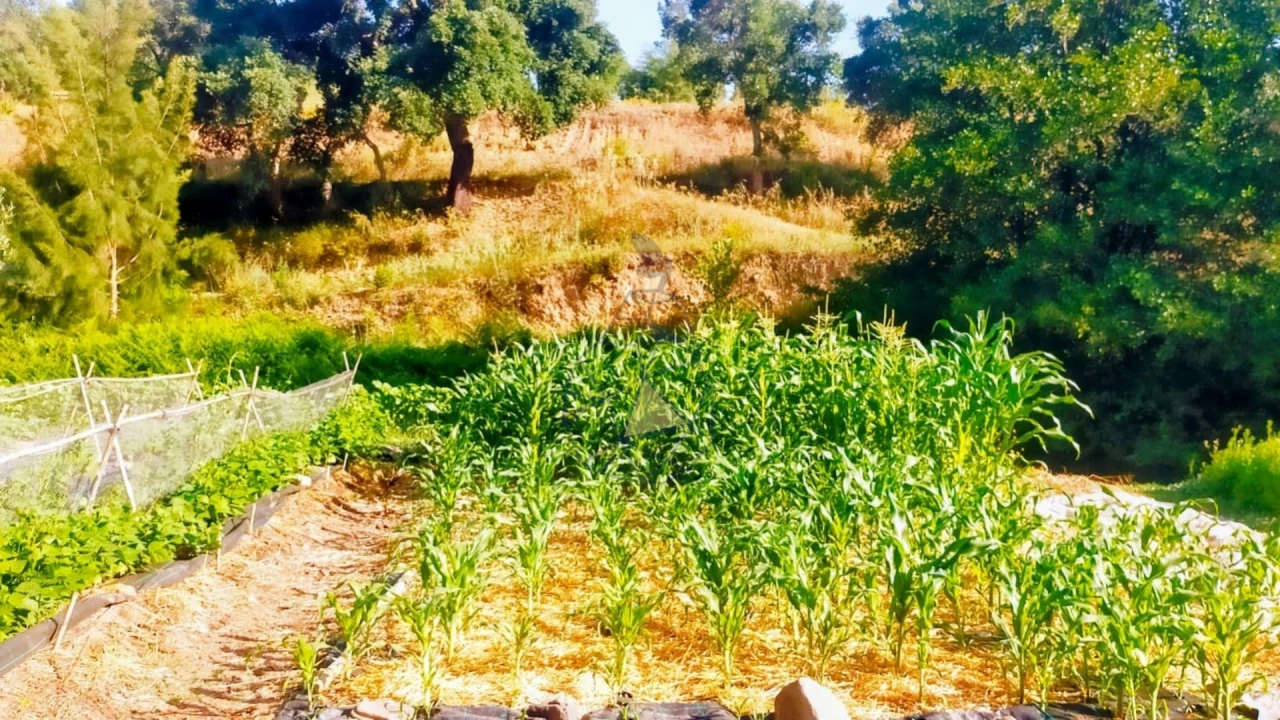 Quinta T3 para Venda em Marmelete Foto 62