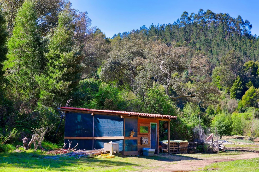 Quinta T3 para Venda em Marmelete Foto 50