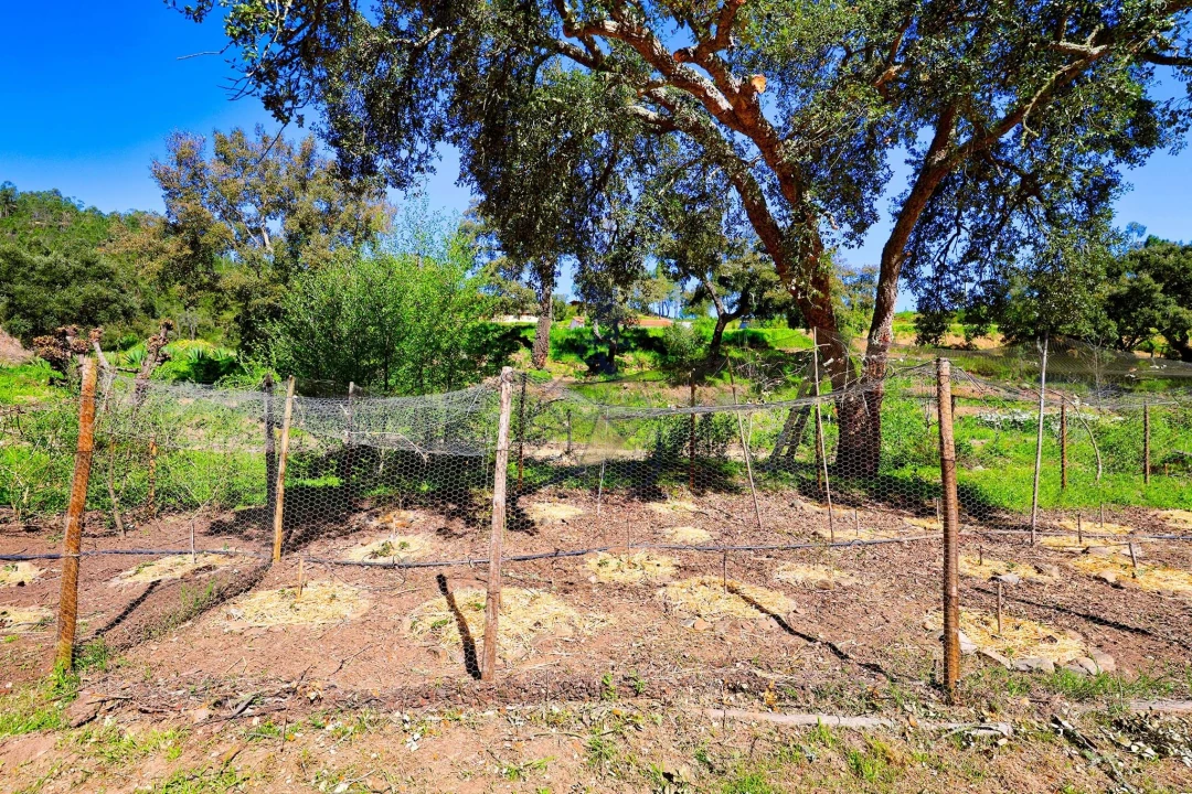 Quinta T3 para Venda em Marmelete Foto 57