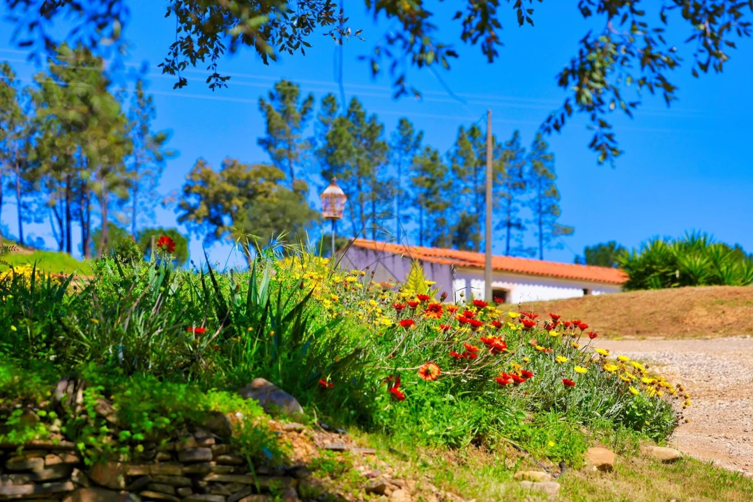 Quinta T3 para Venda em Marmelete Foto 96