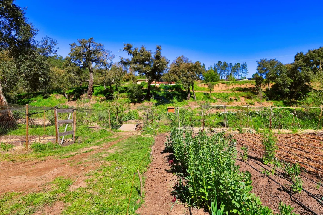 Quinta T3 para Venda em Marmelete Foto 58