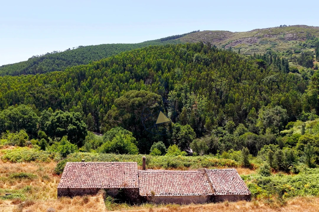 Quinta para Venda em Monchique Foto 70