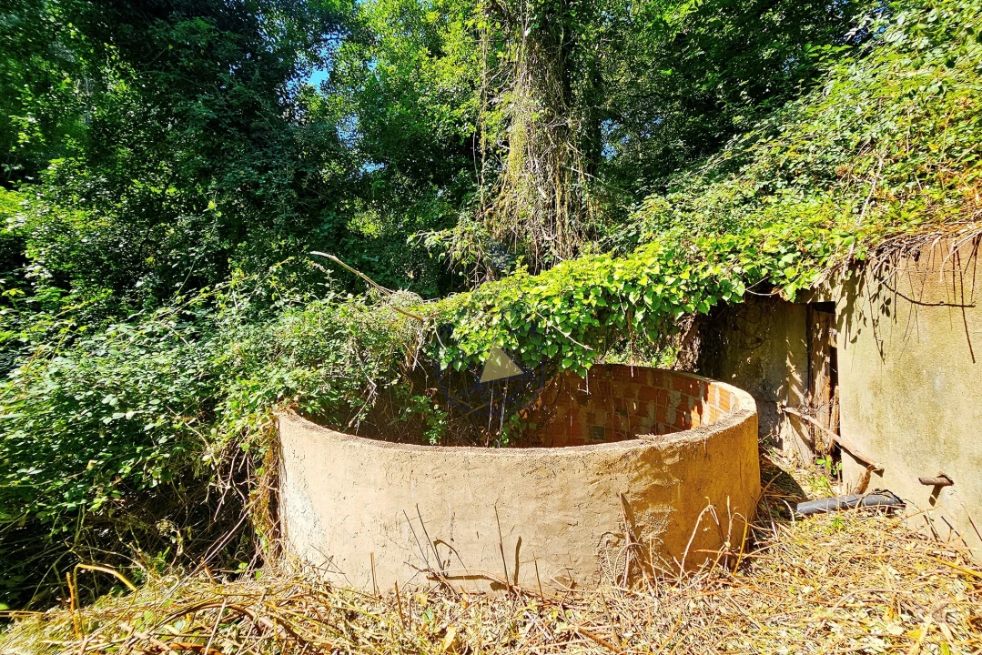 Quinta para Venda em Monchique Foto 49