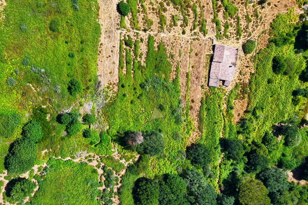 Quinta para Venda em Monchique Foto 37
