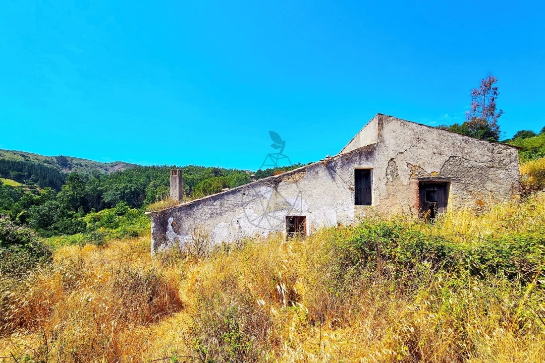 Quinta para Venda em Monchique Foto 4