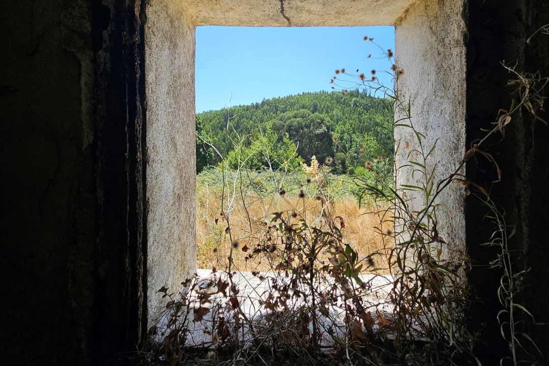 Quinta para Venda em Monchique Foto 64