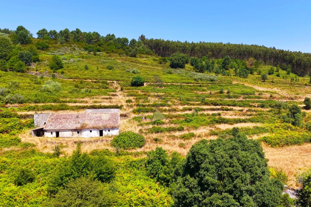 Quinta para Venda em Monchique Foto 62