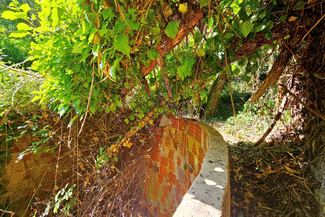 Quinta para Venda em Monchique Foto 52