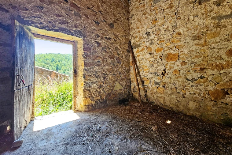 Quinta para Venda em Monchique Foto 28