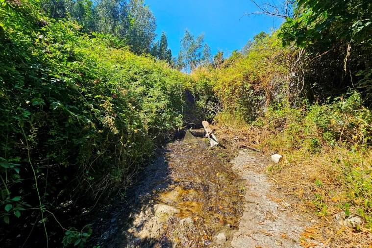 Quinta para Venda em Monchique Foto 54