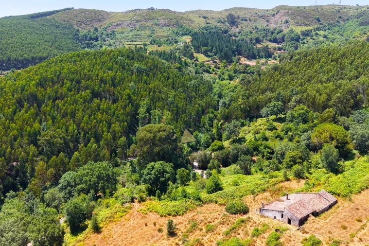 Quinta para Venda em Monchique Foto 74