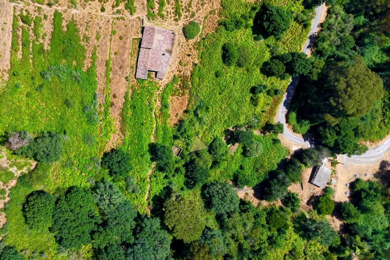 Quinta para Venda em Monchique Foto 72