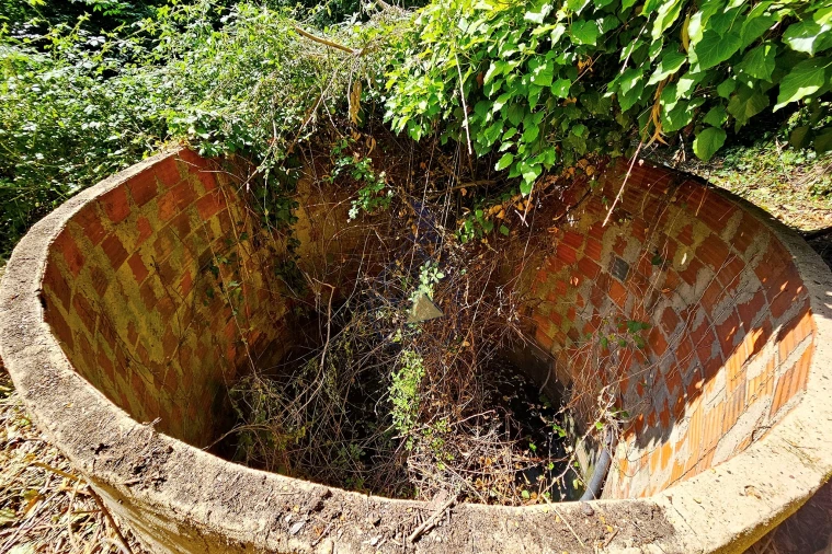 Quinta para Venda em Monchique Foto 50
