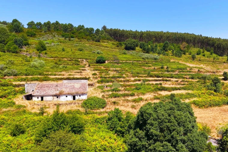 Quinta para Venda em Monchique Foto 62