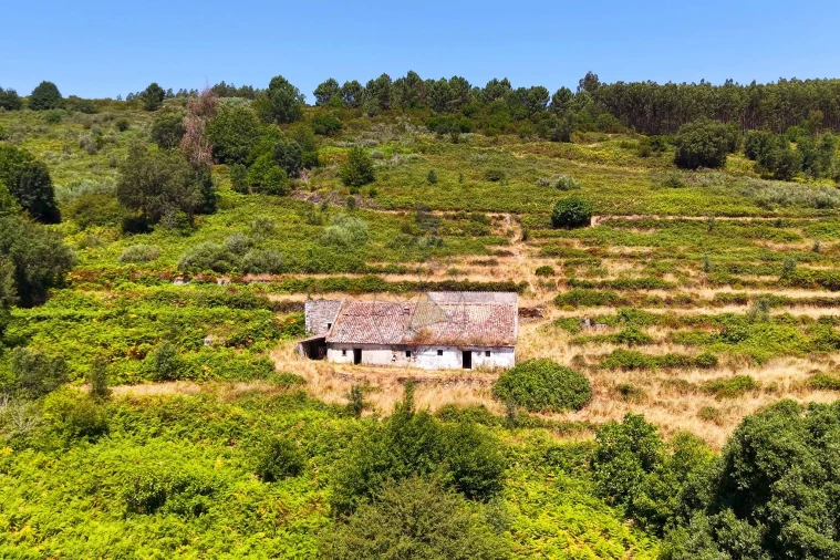 Quinta para Venda em Monchique Foto 2