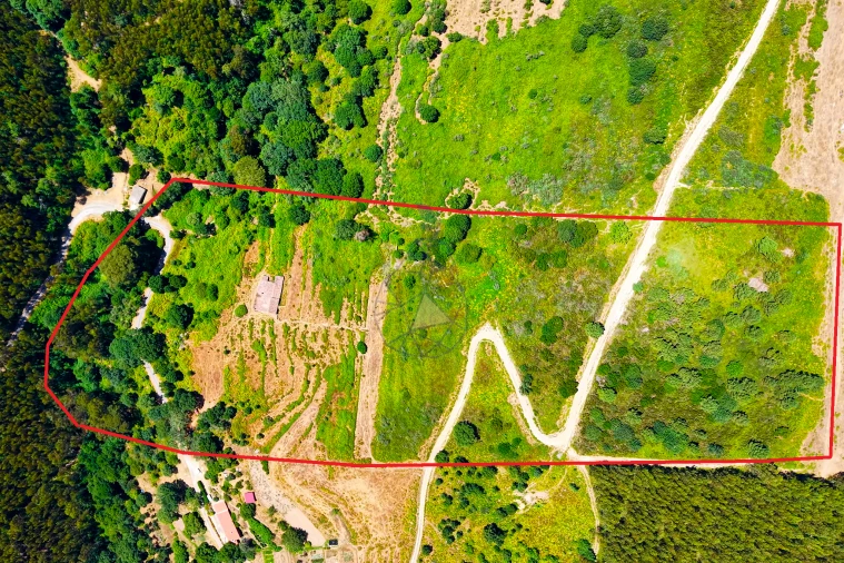 Quinta para Venda em Monchique Foto 76