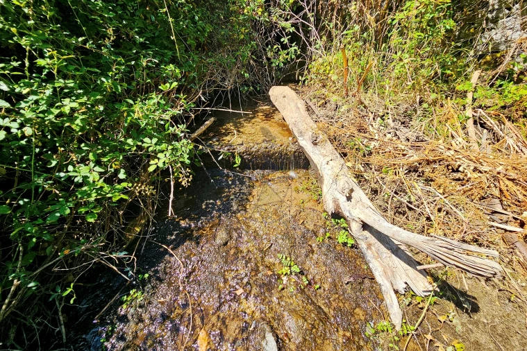 Quinta para Venda em Monchique Foto 55