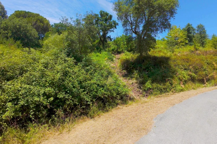 Quinta para Venda em Monchique Foto 56