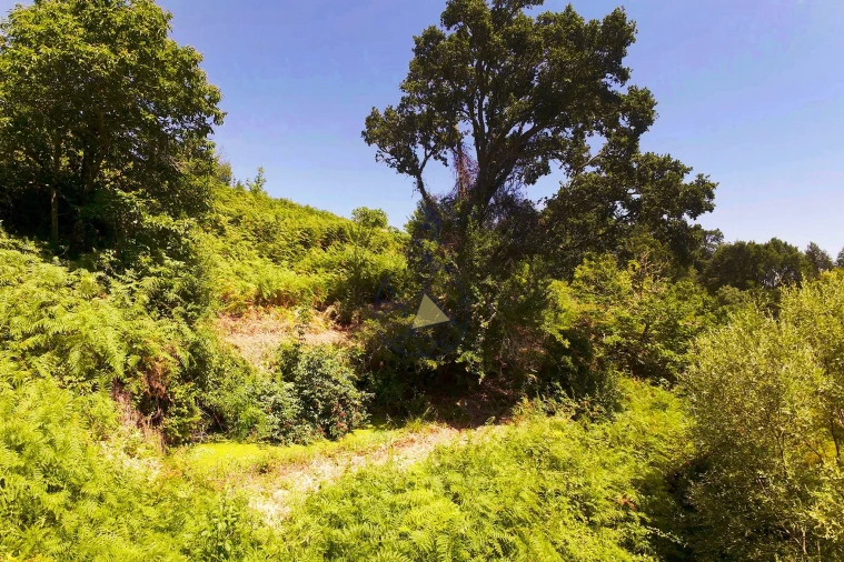 Quinta para Venda em Monchique Foto 57