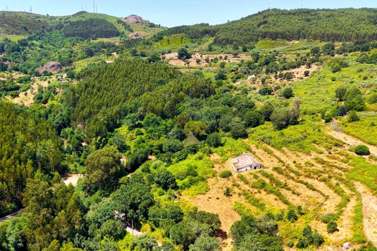 Quinta para Venda em Monchique Foto 60